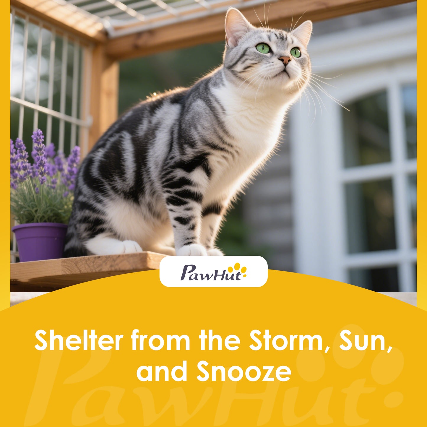 Outdoor Catio Cat House, Movable Wooden Cat Enclosure on Exercise Wheels with Resting Box, 3 Platforms, Large Kitty Cage with Waterproof Asphalt Roof for Outdoor Indoor, for 2 Kittens