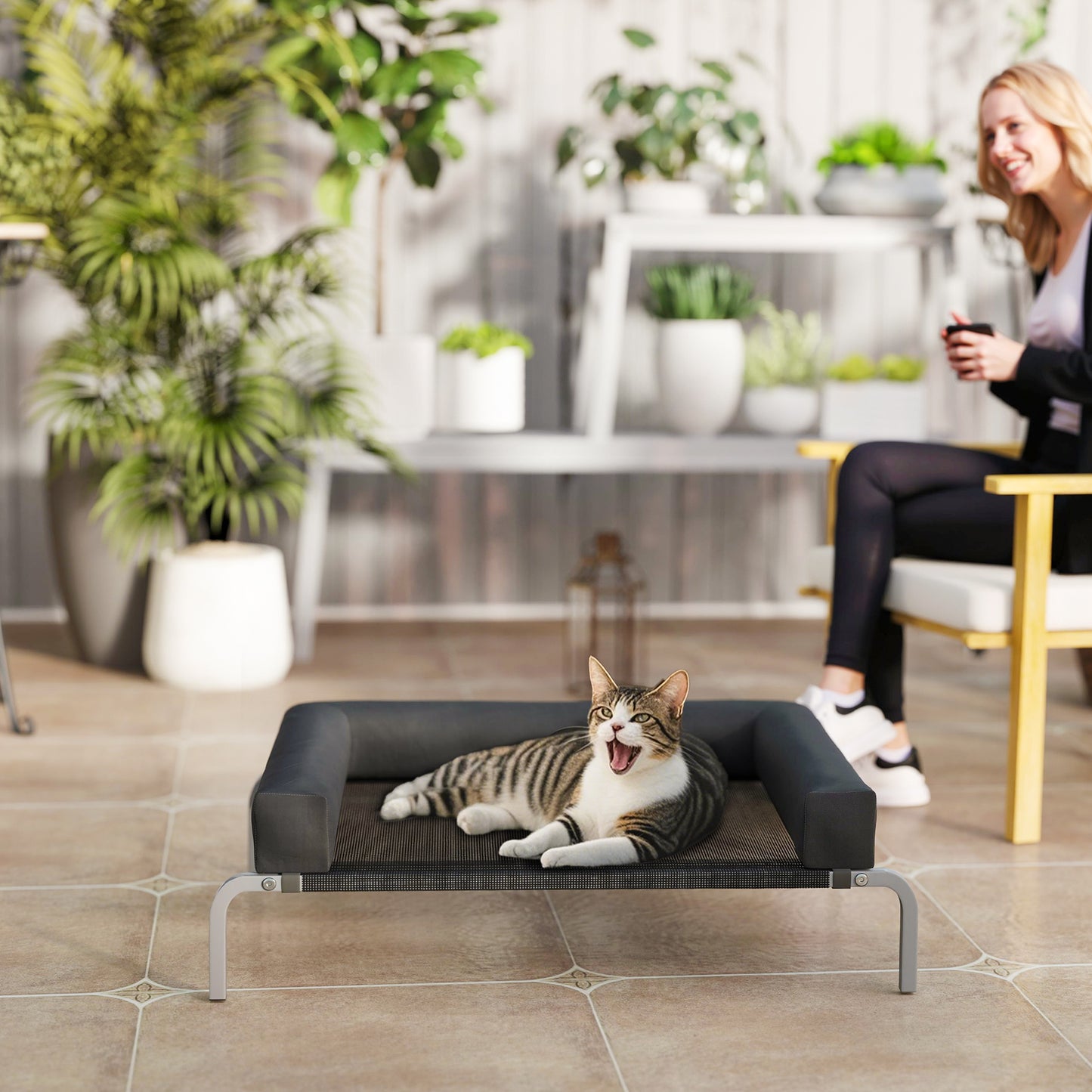 Elevated Dog Bed, Raised Dog Bed with Removable Bolsters