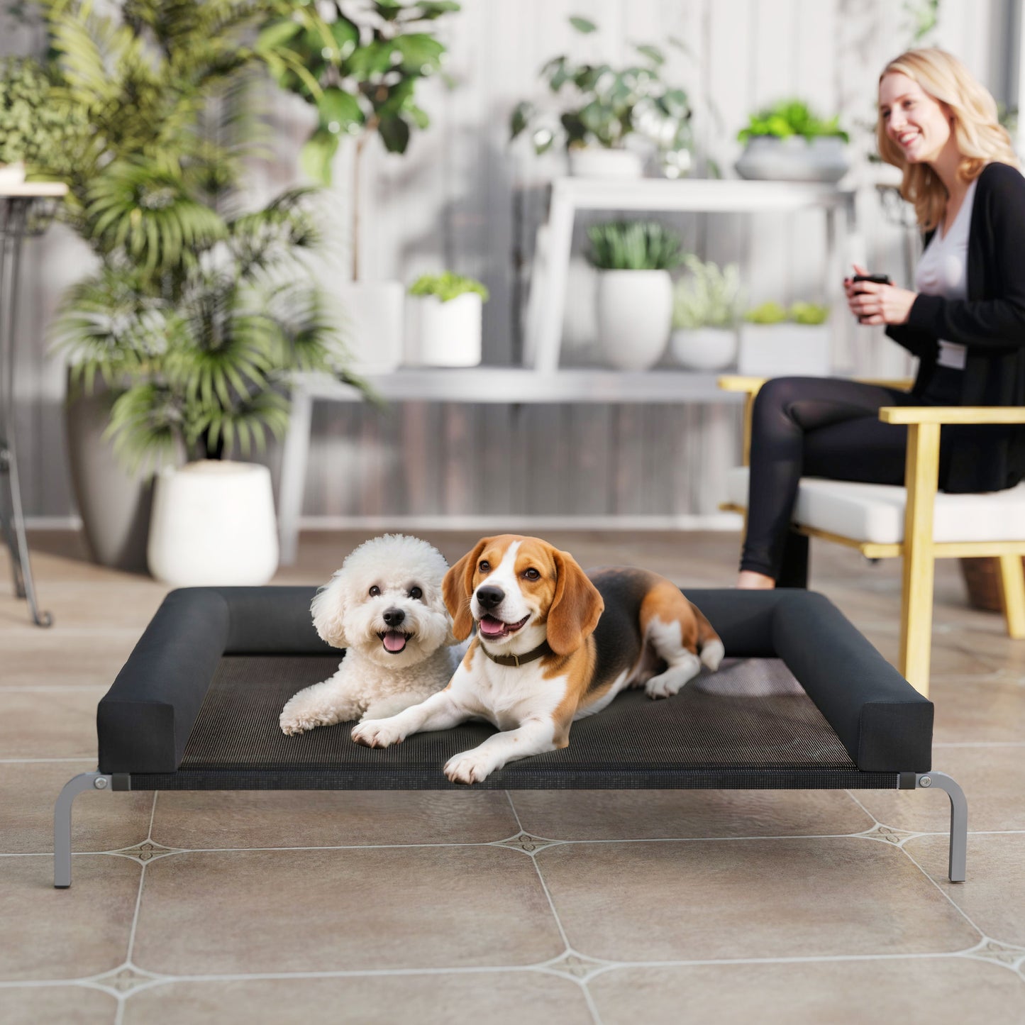 Elevated Dog Bed, Raised Dog Bed with Removable Bolsters