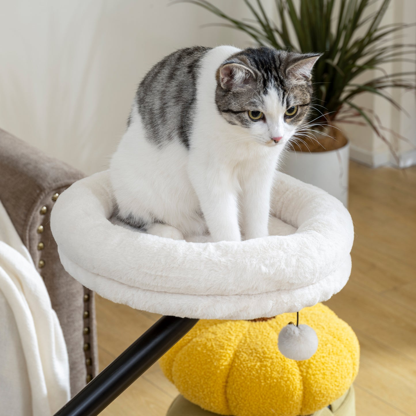 Cat Bed for Desk, 360° Rotatable Adjustable Elevated Cat Desk Bed, Comfortable Soft Plush Kitten Hammock Nest Machine-Washable, Cream White