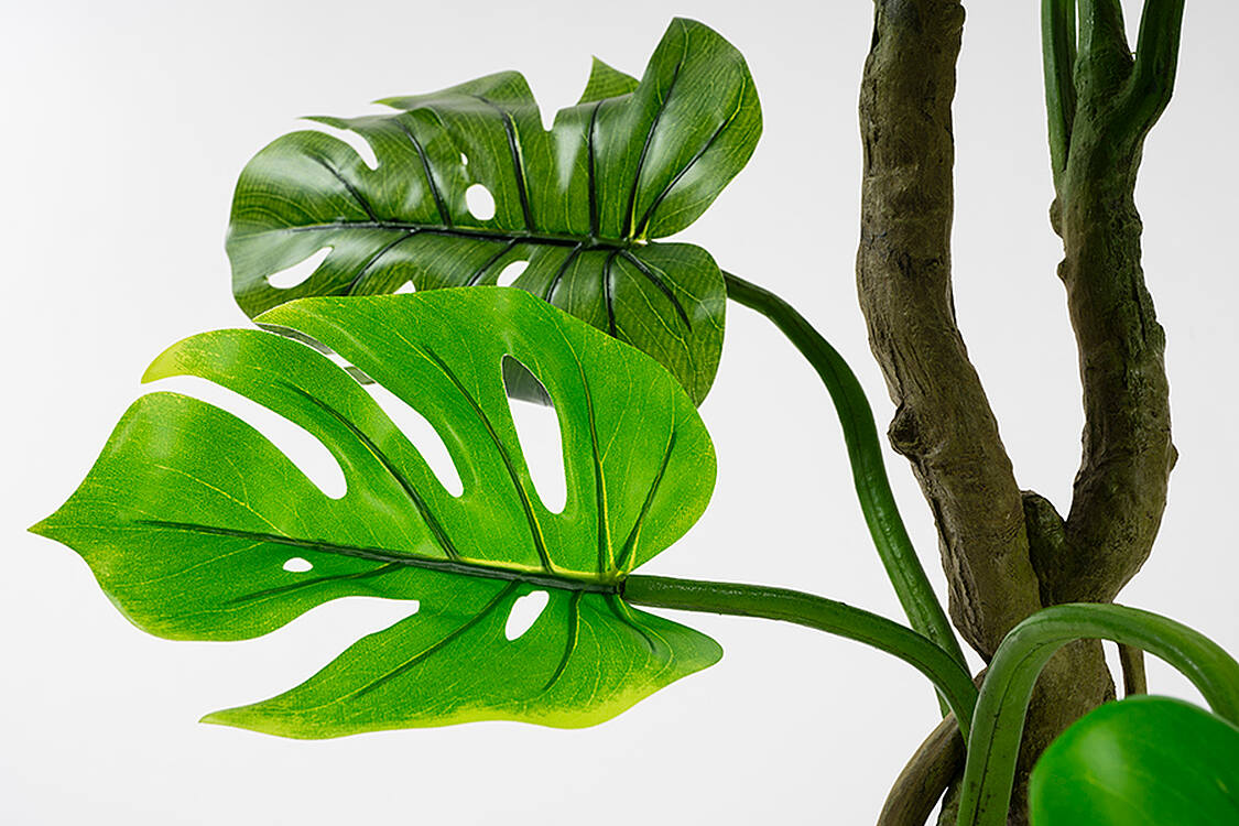Large Artificial Cheese Plant