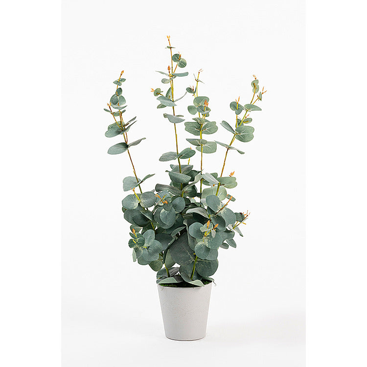 Potted Artificial Eucalyptus Plant