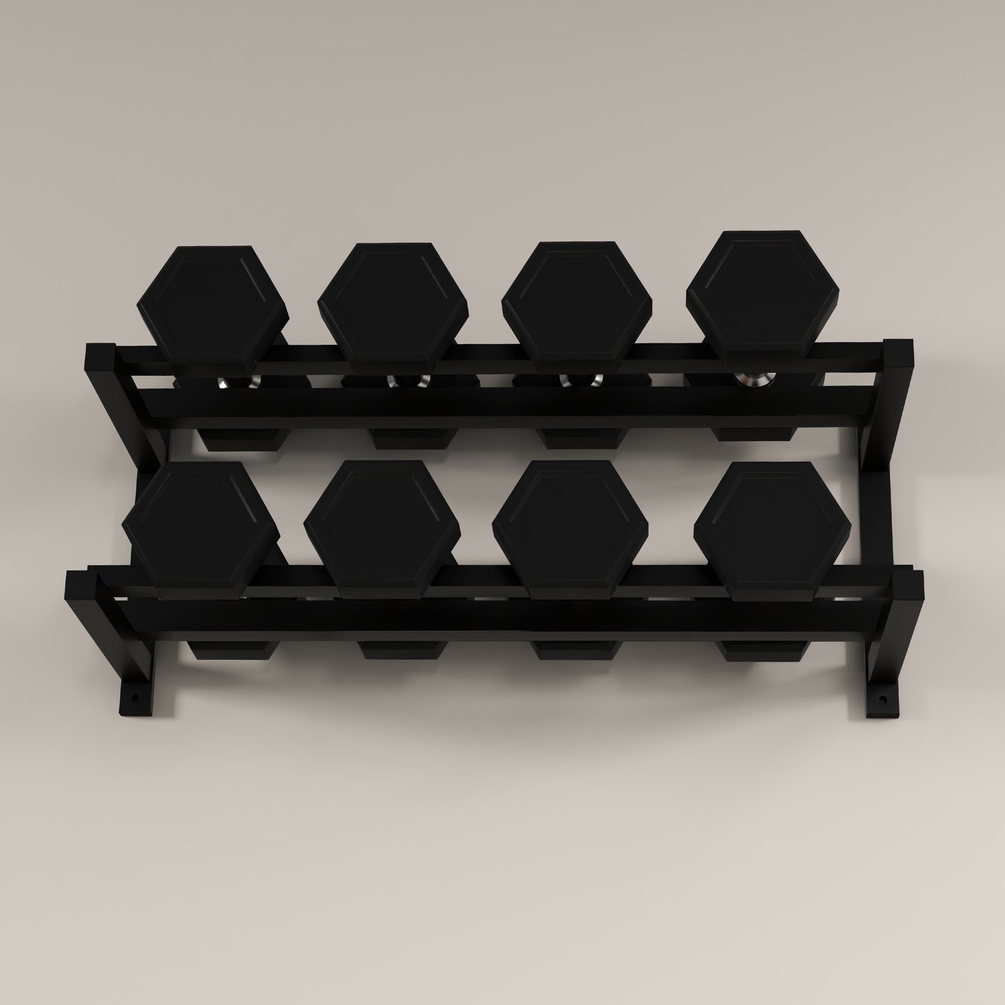 Wall-Mounted Dumbbell Rack, 2-Tier Steel Design, Black