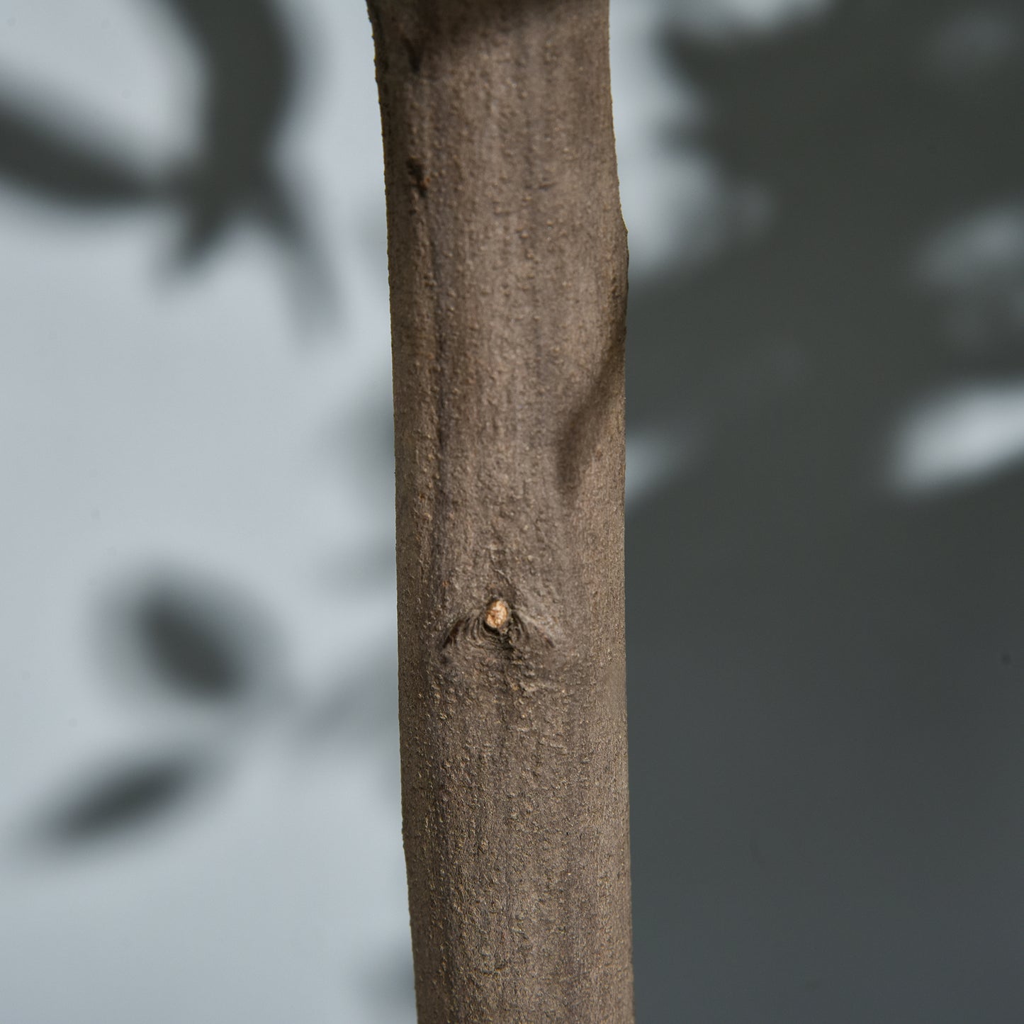 Set Of 2 - 3ft Artificial Bay Laurel Topiary Trees with Pot