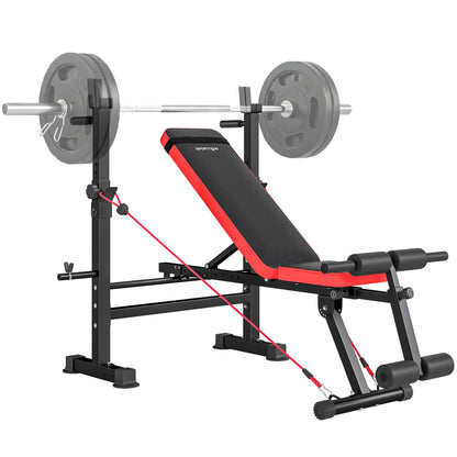 Adjustable Weight Bench with Rack and Dip Stand 420KG Capacity