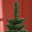 5.5FT Artificial Snow Dipped Christmas Tree Home Indoor Decoration Green