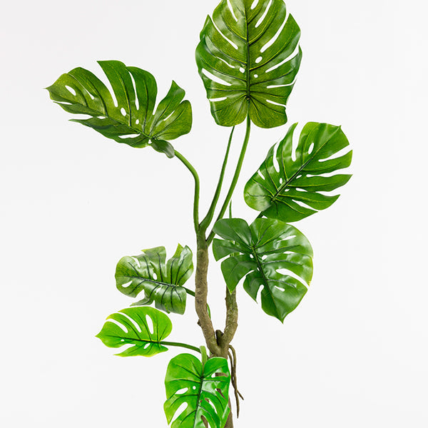 Large Artificial Cheese Plant