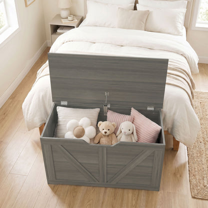 Storage Trunk for Living Room, with Safety Hinge, 80cm, Dark Grey