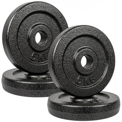 Weight Plates Set, 1"/2.5cm Weight Disc Pair, 4 x 5kg Metal Dumbbell/Barbell Plates for Weightlifting and Strength Training Home Gym Fitness Workout, Grey