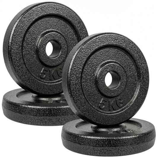 Weight Plates Set, 1"/2.5cm Weight Disc Pair, 4 x 5kg Metal Dumbbell/Barbell Plates for Weightlifting and Strength Training Home Gym Fitness Workout, Grey