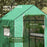 Greenhouse Cover Replacement Walk-in PE Hot House Cover with Roll-up Door and Windows, 140 x 73 x 190cm, Green