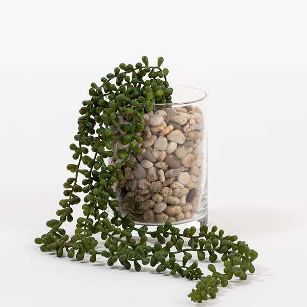 Artificial String of Pearls Vine