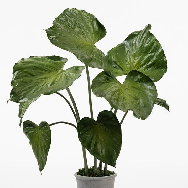 Potted Artificial Elephants Ear Plant