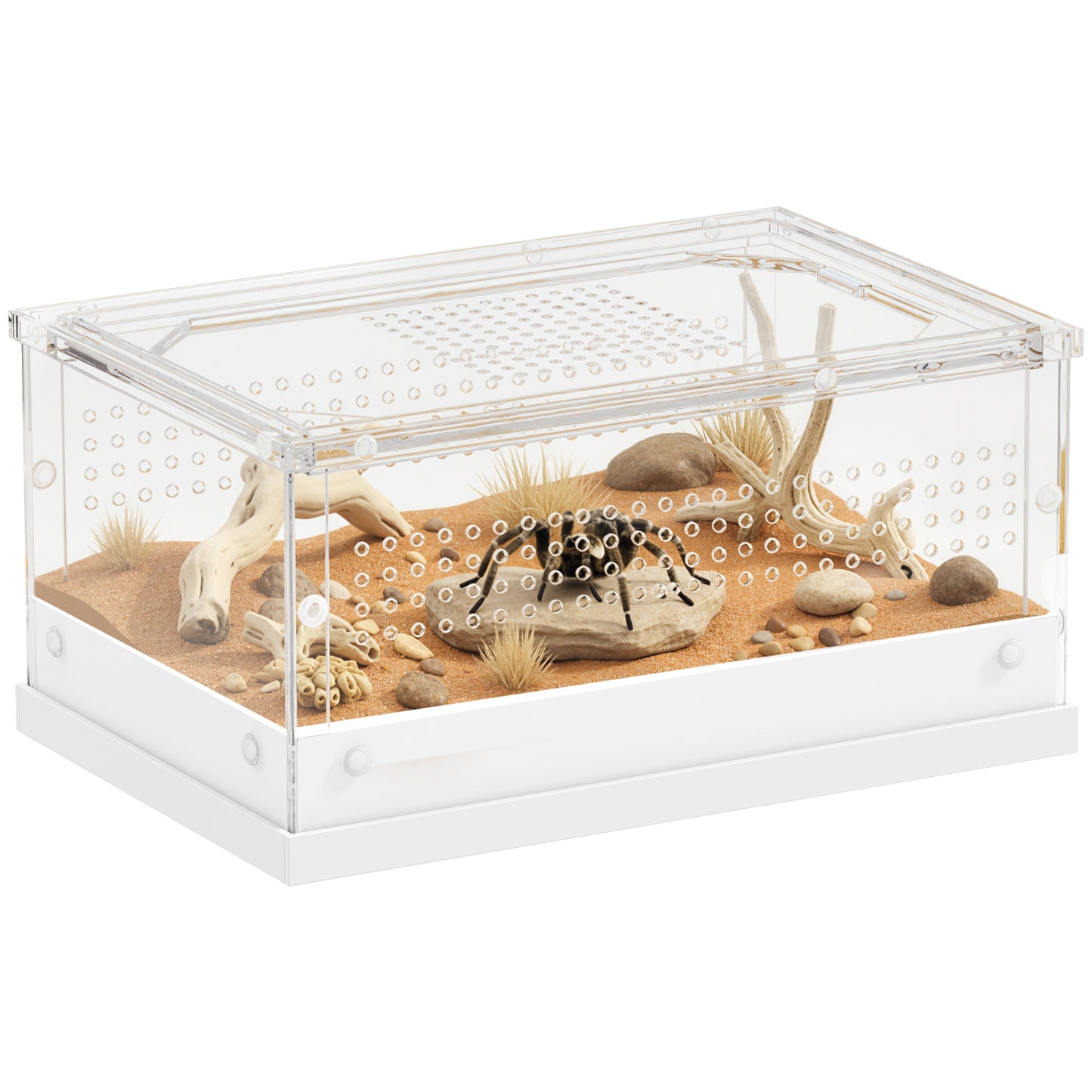 Reptile Terrarium, Vivarium Acrylic for Snake, Gecko, 30 x 20 x 15 cm