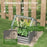 Metal Planter Box with Cover, Raised Garden Bed with Greenhouse, for Herbs and Vegetables, Clear and Grey