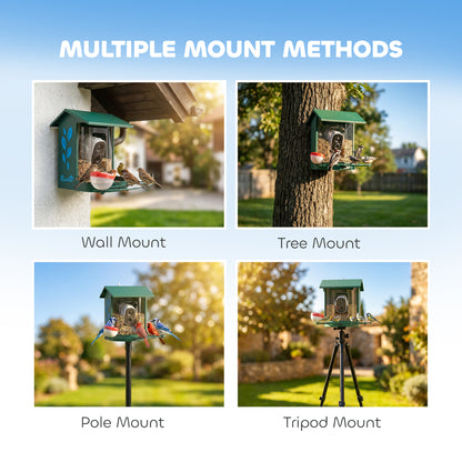 Smart Bird Feeder Camera with AI Identifies 16,000+ Bird Species