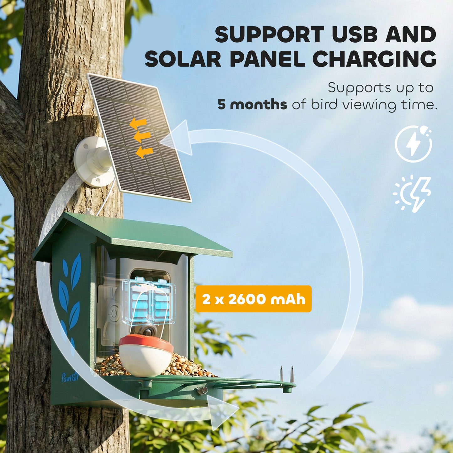Smart Bird Feeder Camera with AI Identifies 16,000+ Bird Species