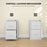 2 Drawer Filing Cabinet Steel File Cabinet for A4 Letter Size White