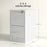 2 Drawer Filing Cabinet Steel File Cabinet for A4 Letter Size White