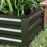 Set of 2 Galvanised Raised Garden Bed for Flowers, Herbs and Vegetables