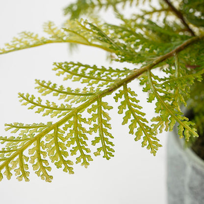 Potted Artificial Fern Plant
