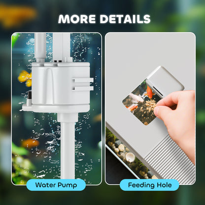 14L Small Fish Tank with Filter System, LED Lights, Water Pump, White