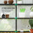 Walk-in Greenhouse with 8 Shelves, Outdoor Small Greenhouse, White