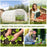 6 x 3 x 2 m Large Walk-In Greenhouse Garden Polytunnel Greenhouse with Metal Frame, Zippered Door and Roll Up Windows, White