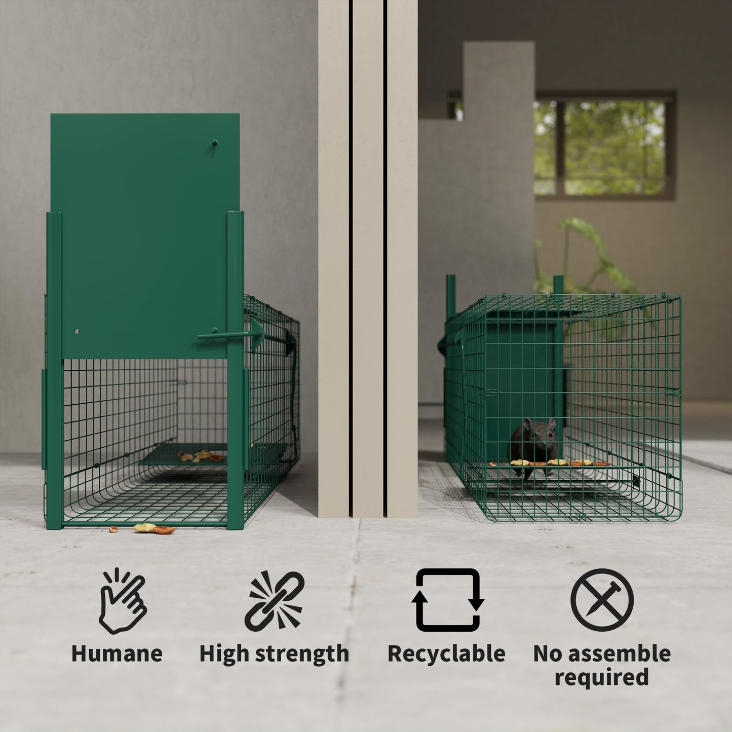 Single Door Humane Rat Trap for Small Animals, Dark Green