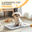 Dog Toilet Tray, Dog Litter Tray for Training Dogs, 63 x 49 x 6cm