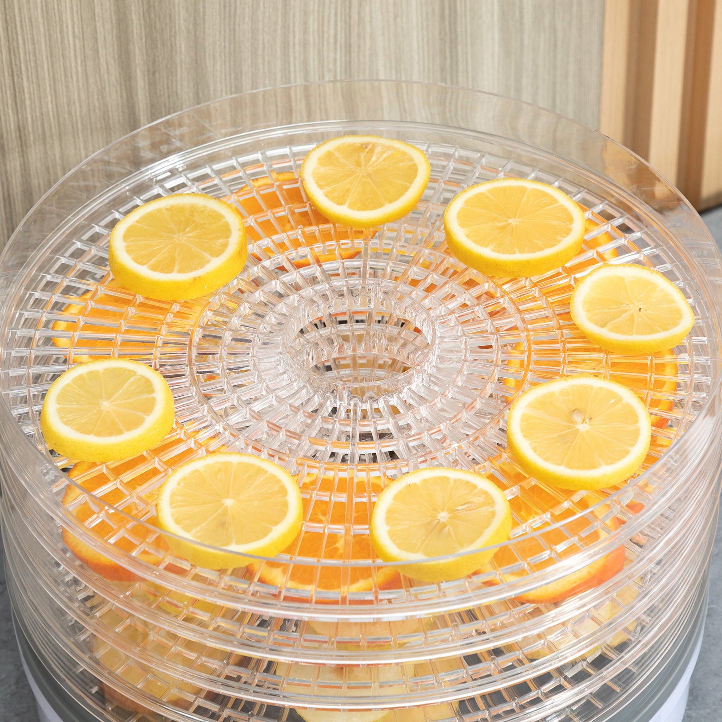 5 Tier Food Dehydrator for Drying Fruit Meat Vegetable Jerky Pet Treat