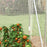 Polytunnel Greenhouse Walk-in Grow House with UV-resistant PE Cover, Door and Galvanised Steel Frame, 2 x 2 x 2m, White