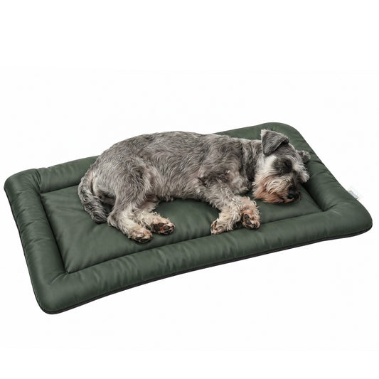 Waterproof Dog Bed Foldable Washable with Anti-Slip Bottom, Green