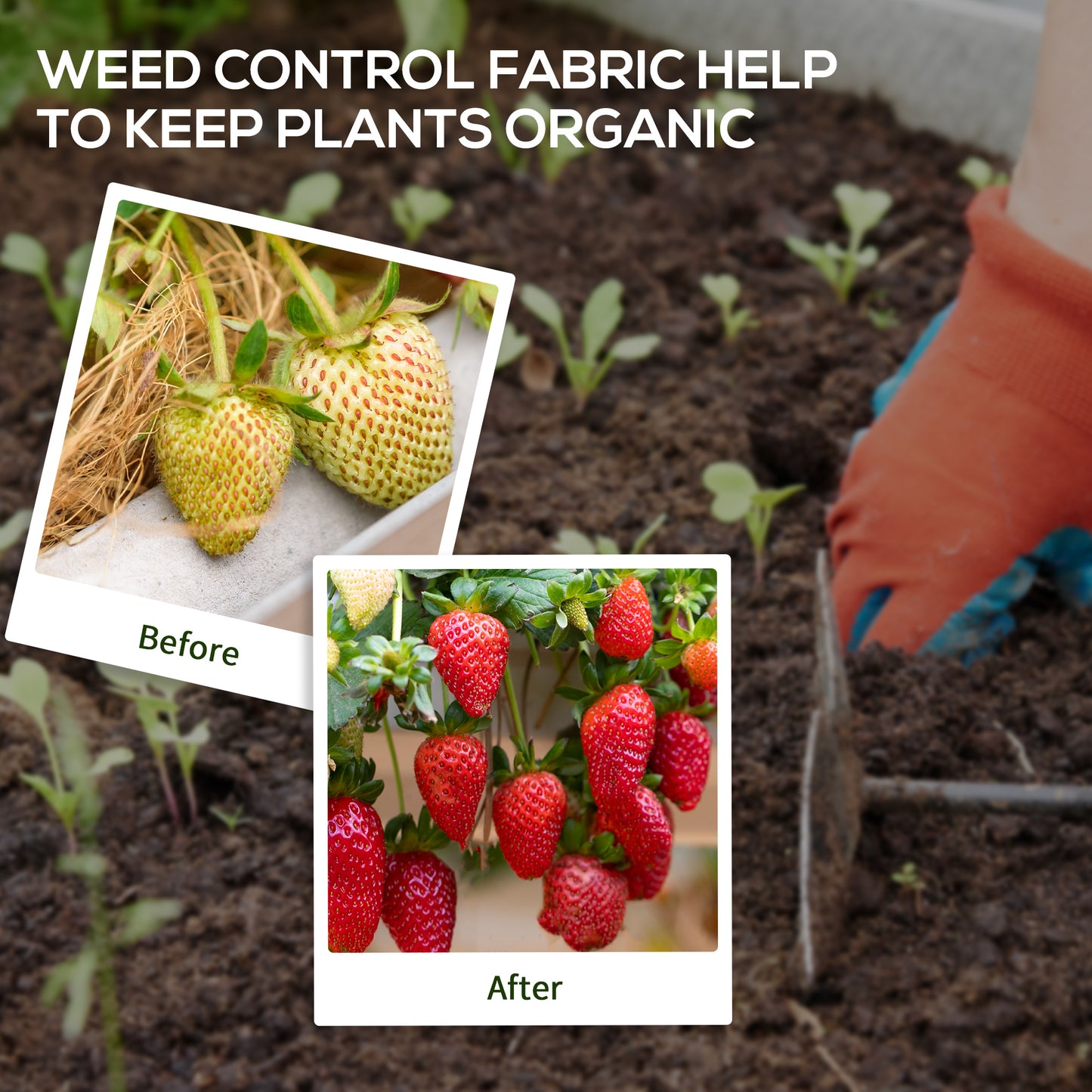 100 x 2m Weed Membrane, Heavy Duty Weed Control Membrane