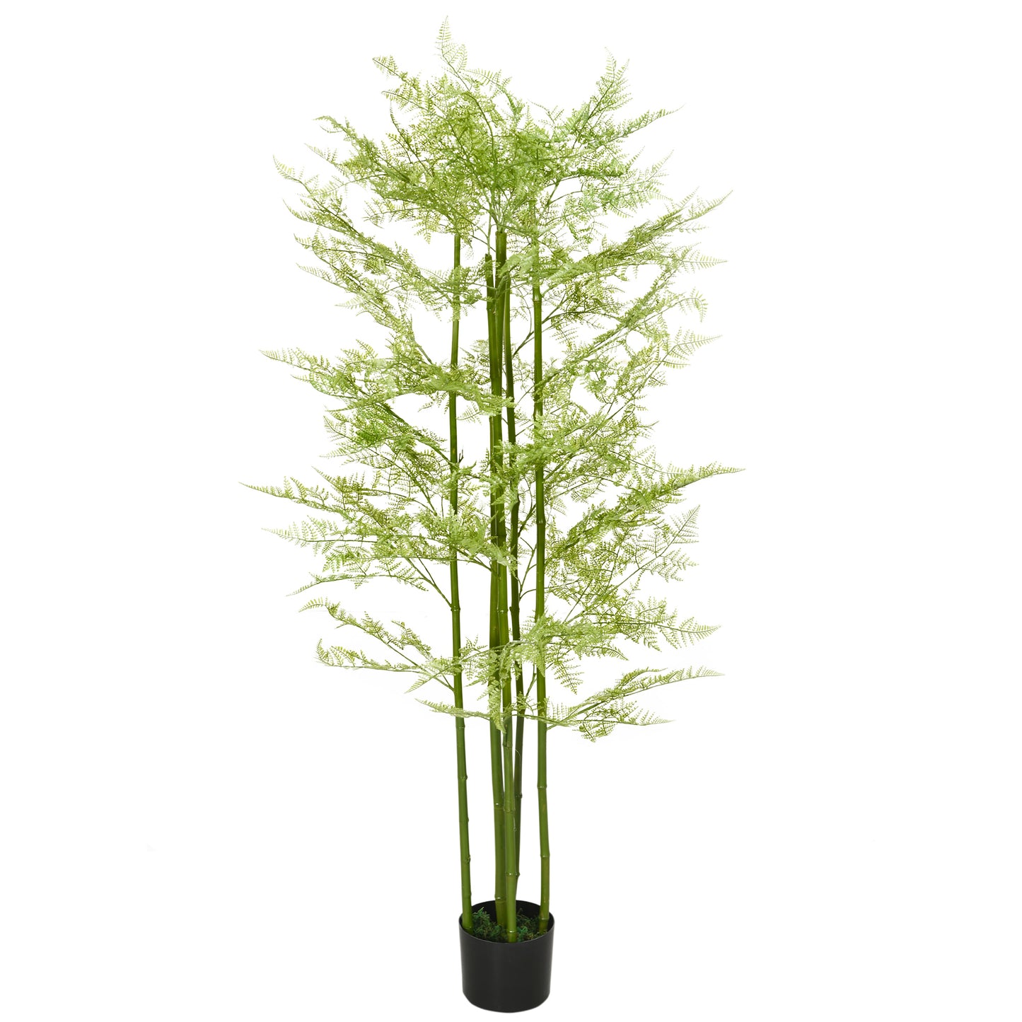 Decorative Artificial Plants Asparagus Fern Tree in Pot Fake Plants for Home Indoor Outdoor Decor, 155cm