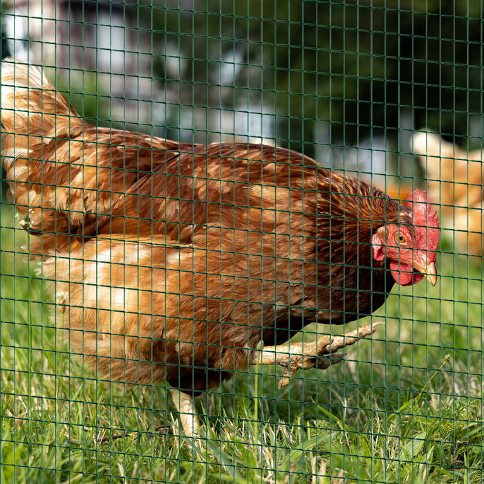 PVC Coated Welded Wire Mesh Fencing Chicken Poultry Aviary Fence Run Hutch Pet Rabbit 30m Green