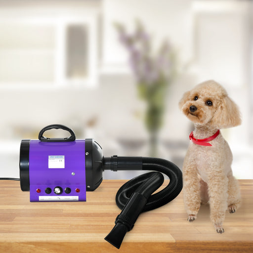 2800W Dog Hair Dryer Pet Grooming Blaster Water Blower Dryer w/ 3 Nozzles, Purple