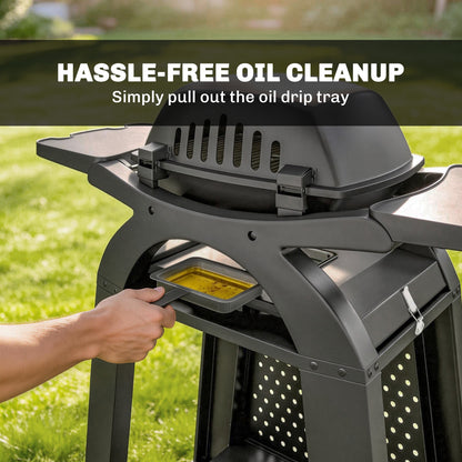 2 Burner Gas Grill, 3.8 KW Barbecue Grill with Cast Iron Grates
