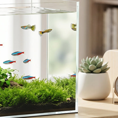 43L Fish Tank, Glass Aquarium, Small Fish Tank with Protective Base Mat, for Shrimps, Turtles, Transparent, 50 x 30 x 30 cm