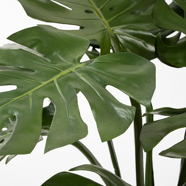 Potted Artificial Cheese Plant