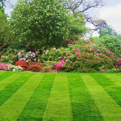 Get Your Garden in Tip Top Form Ready for Spring - Transform Your Garden with 4 Hours of Expert Landscaping from Lost the Plot Gardening Services! Comprehensive Garden Service for Only £135!