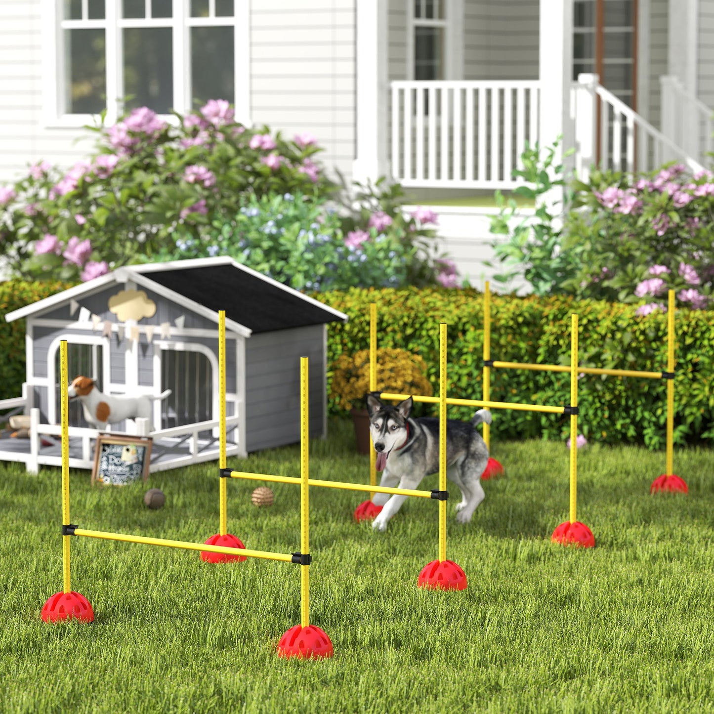 4 Piece Dog Agility Equipment with 4 Hurdle Bar for Jump Training