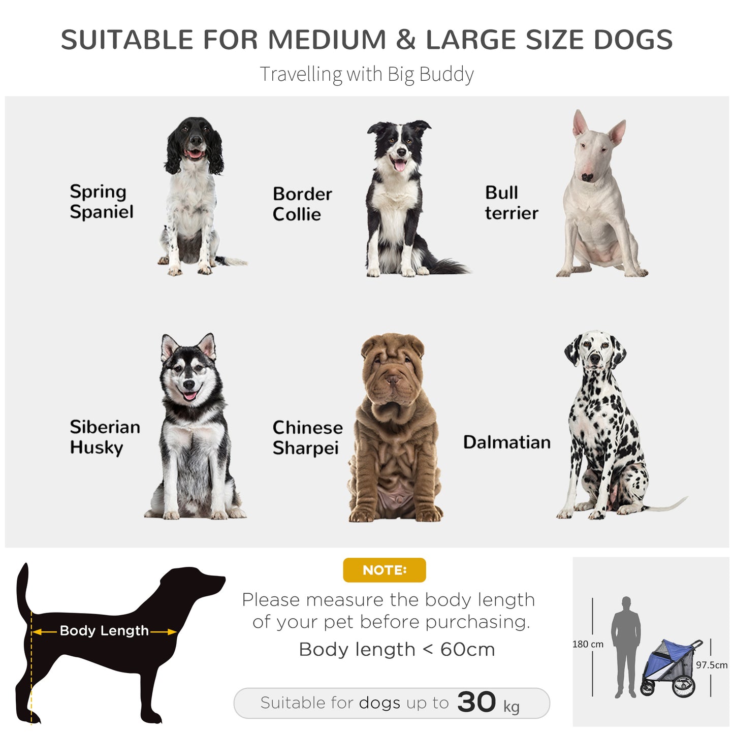 Foldable Pet Stroller with Cushion, for M, L Dogs - Blue