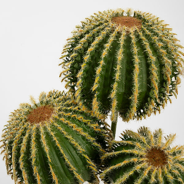 Artificial Cactus Stem