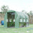 Walk In Greenhouse, Garden Polytunnel with PE Cover, Zipped Roll Up Door and 6 Mesh Windows, 3x2x2m, Green