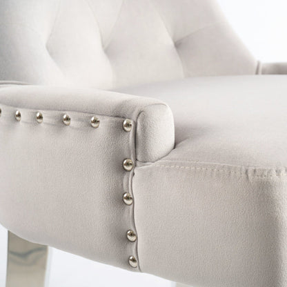 Torino Dove Grey Dining Chair with Stainless Steel Legs