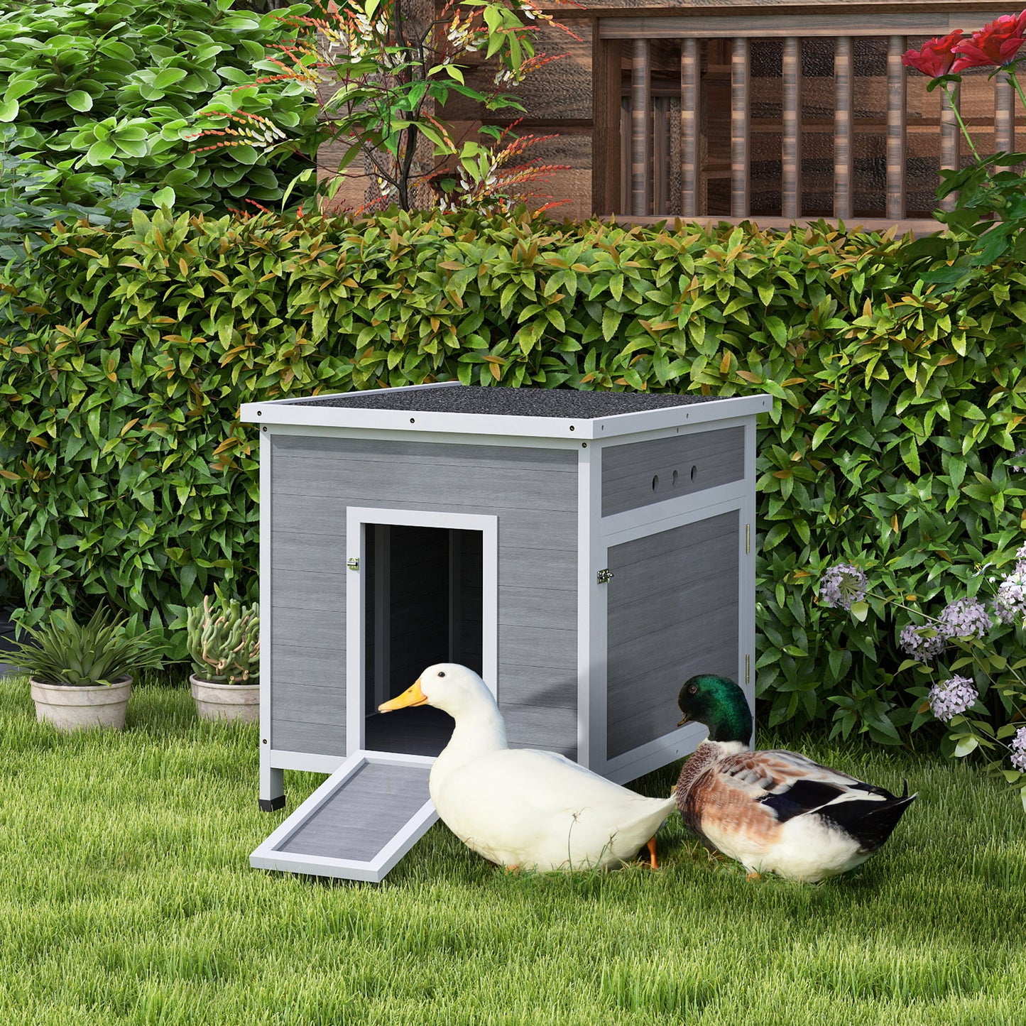 Wooden Duck House, Raised Poultry Coop with Ramp, Double Doors, Openable Asphalt Roof, Ventilation Holes, Removable Base, for 2-4 Ducks, Chickens, Geese, Light Grey