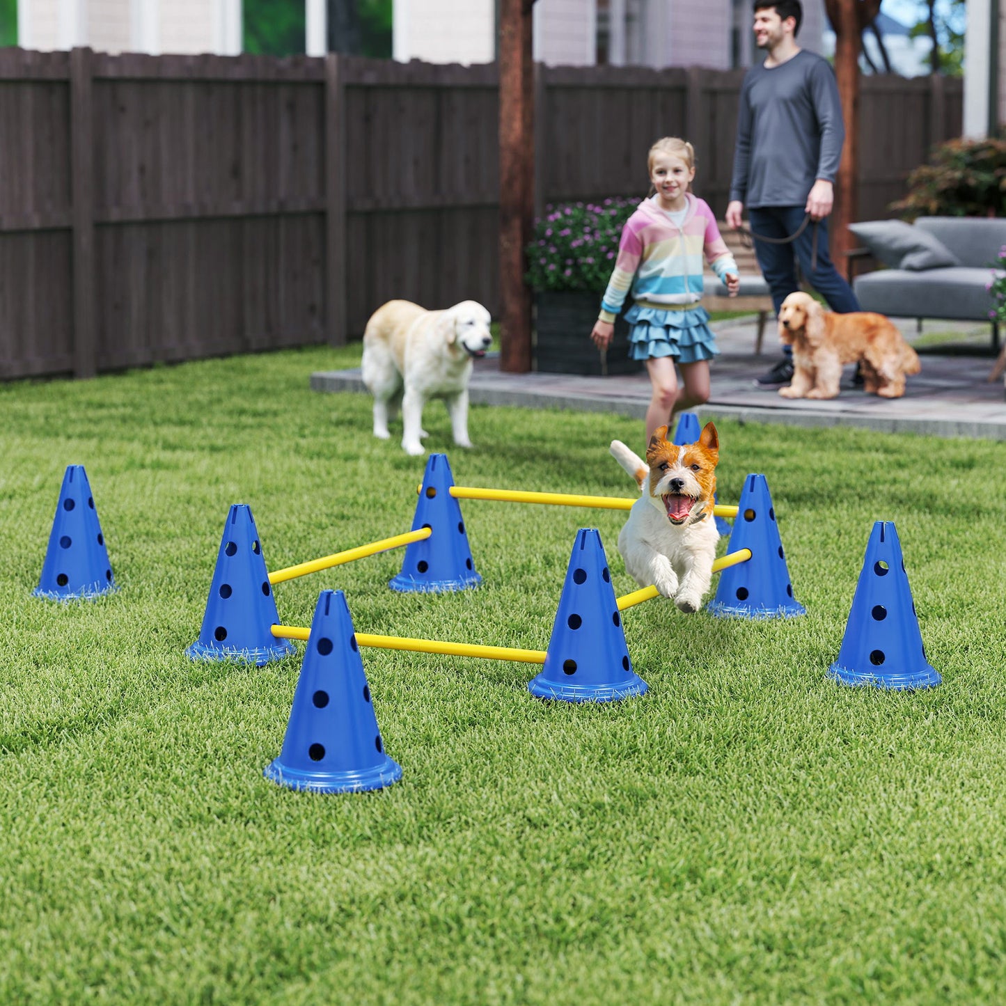 Dog Agility Equipment Set, Four-Piece Adjustable Height Jumping