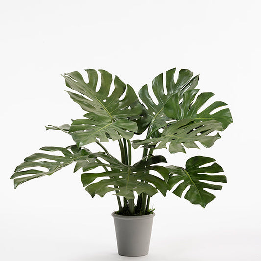 Potted Artificial Cheese Plant