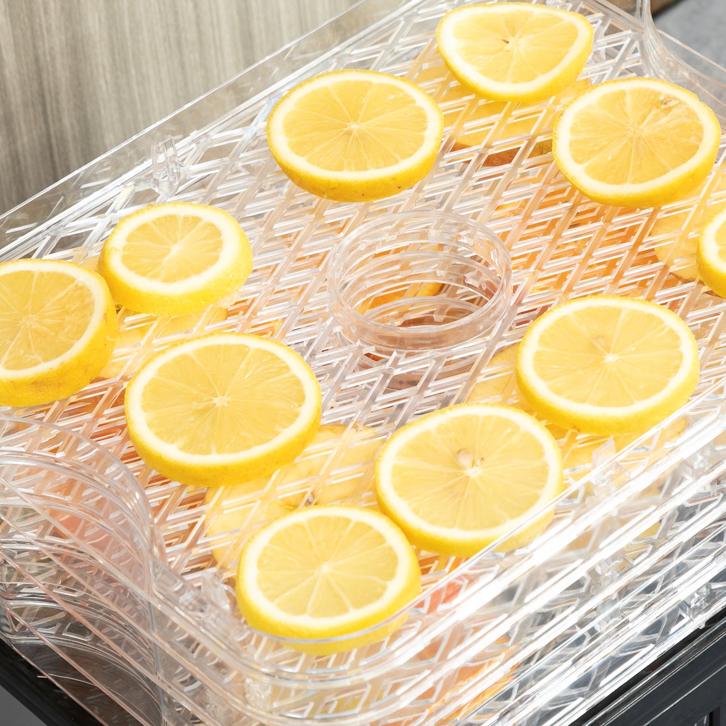 5 Tier Food Dehydrator, 245W for Drying Fruit, Meat, Vegetable, Black